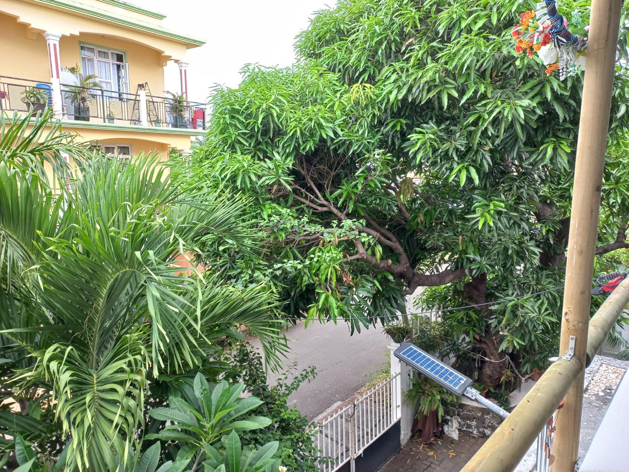 Open Air Cafe & Apartments Порт-Луи Номер фото